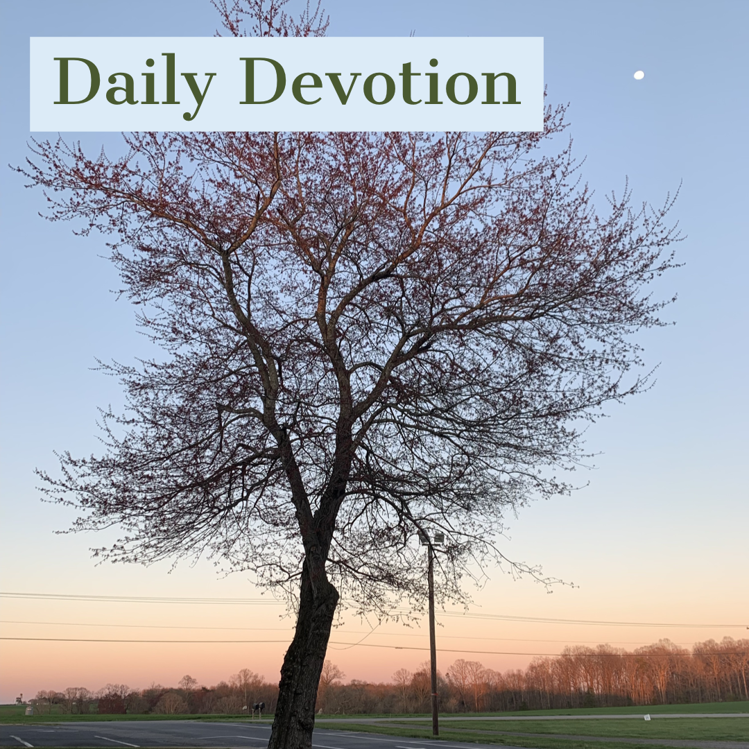 Daily Devotion April 29th South River Baptist Church